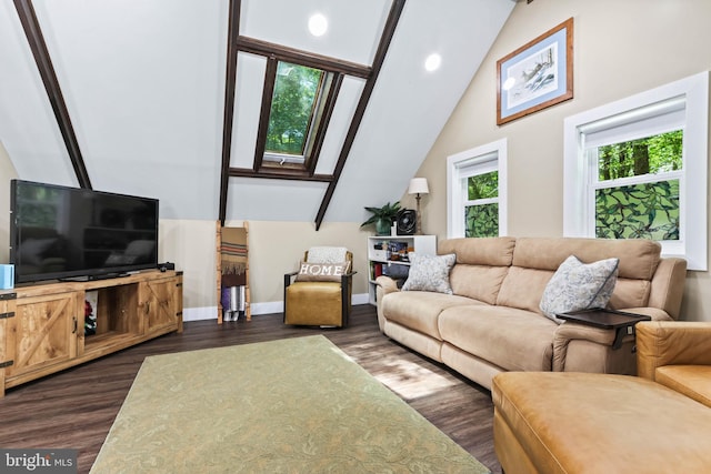 living room featuring high vaulted ceiling and dark wood-type flooring