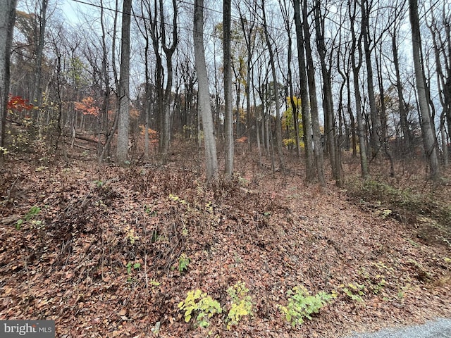 Listing photo 2 for Glenwood Ln, Gerrardstown WV 25420