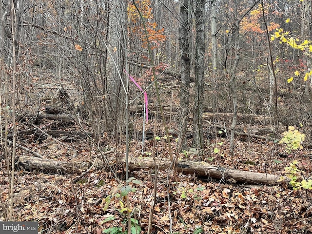 Glenwood Ln, Gerrardstown, WV 25420