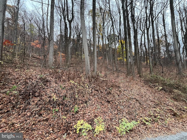 Glenwood Ln, Gerrardstown, WV 25420
