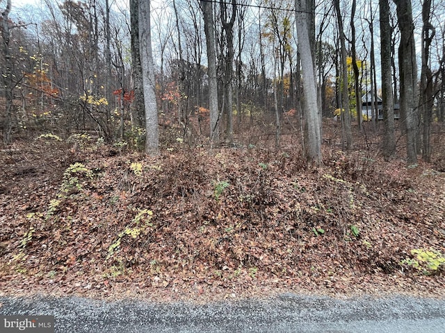 Glenwood Ln, Gerrardstown, WV 25420