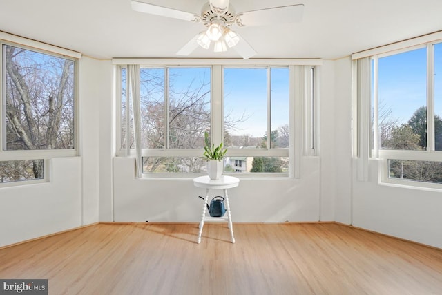 unfurnished sunroom featuring ceiling fan and a healthy amount of sunlight