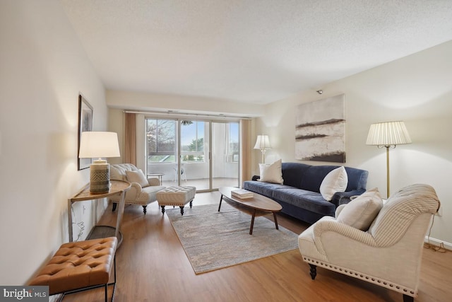 14801 Pennfield Cir Unit 401, Silver Spring, MD 20906 - living room with light wood-style floors