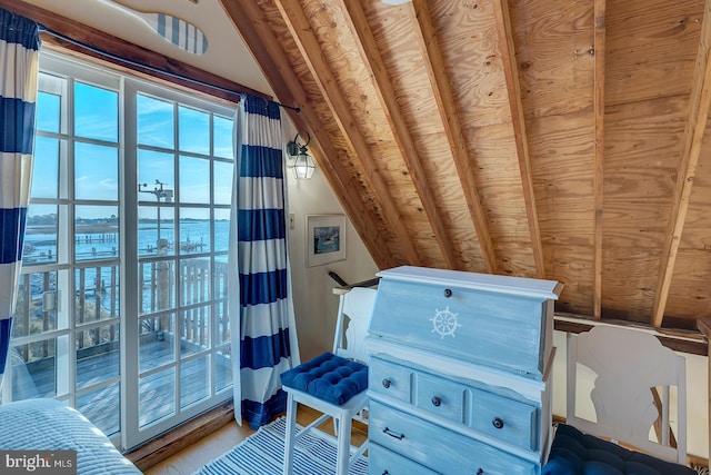 miscellaneous room with a water view and lofted ceiling