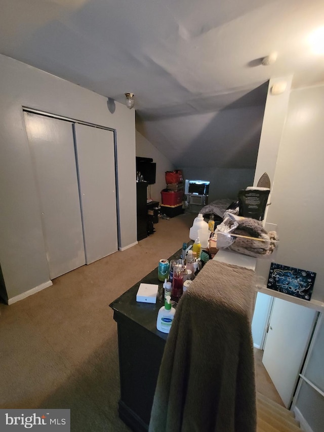 interior space featuring a closet and lofted ceiling