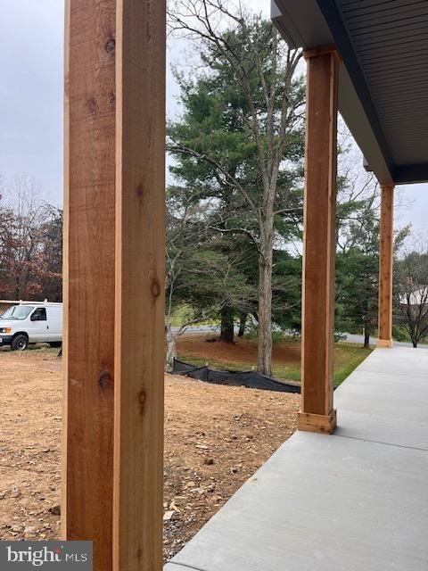 view of yard featuring a patio area