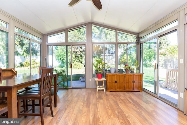 sunroom / solarium with ceiling fan and lofted ceiling