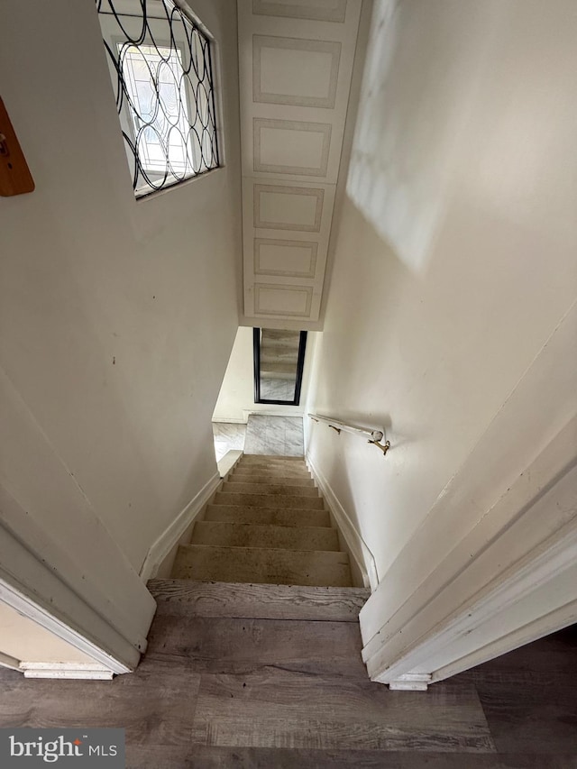 staircase with hardwood / wood-style floors