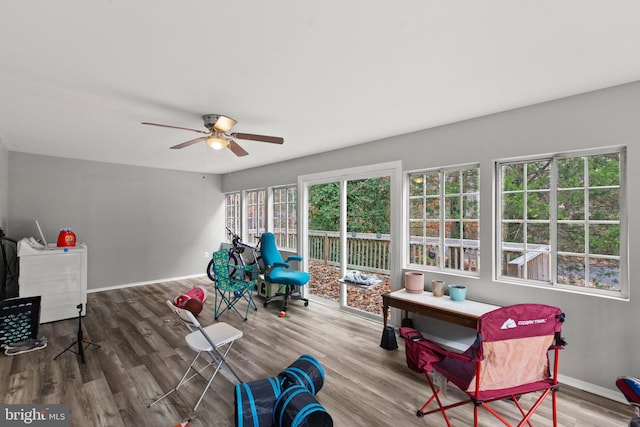 sunroom with ceiling fan