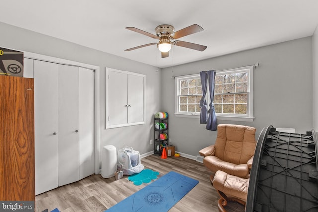 living area featuring ceiling fan and light hardwood / wood-style flooring