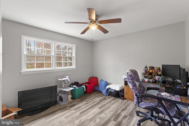 office with light wood-type flooring and ceiling fan