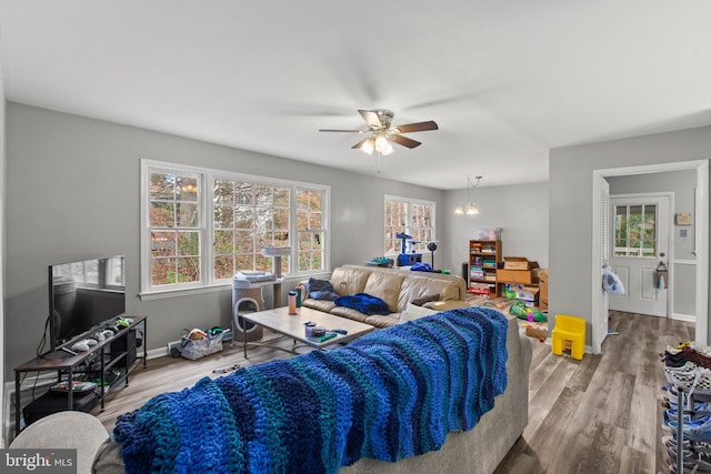 living room featuring ceiling fan with notable chandelier and wood-type flooring