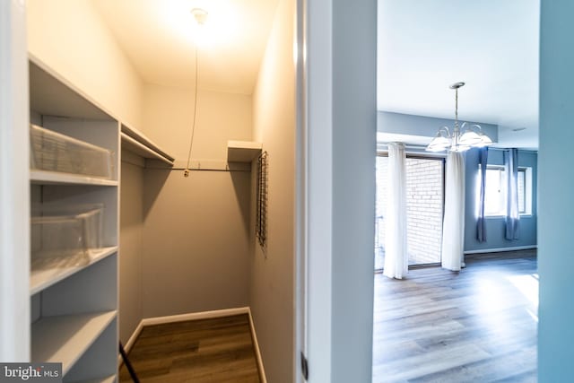 walk in closet featuring hardwood / wood-style floors and an inviting chandelier