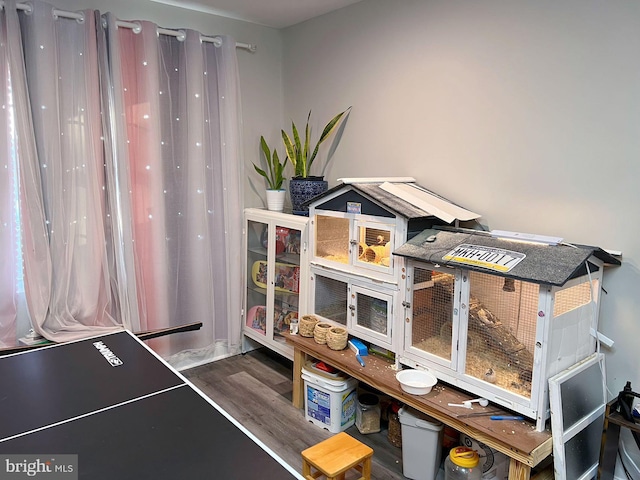 game room featuring dark wood-type flooring