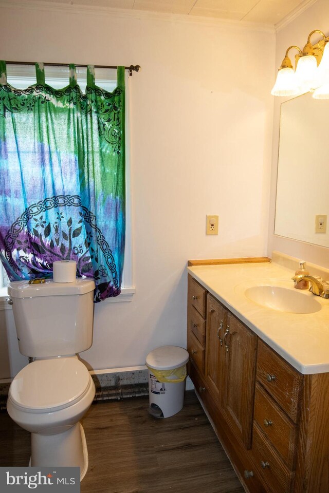 bathroom featuring vanity, wood-type flooring, and toilet