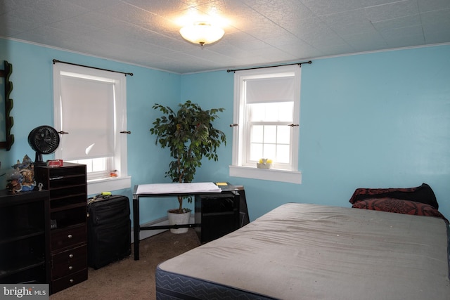 bedroom with carpet floors