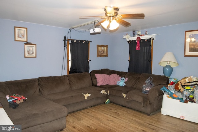 living room featuring ceiling fan and hardwood / wood-style floors