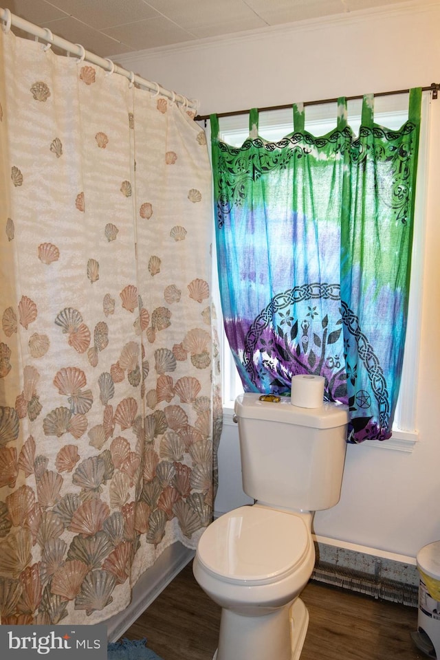 bathroom featuring toilet, wood-type flooring, and crown molding