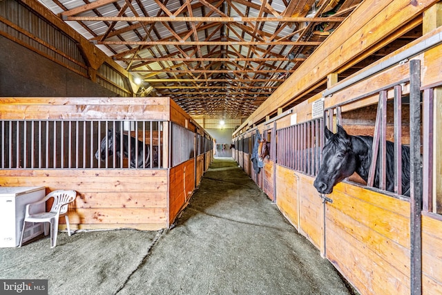 view of horse barn