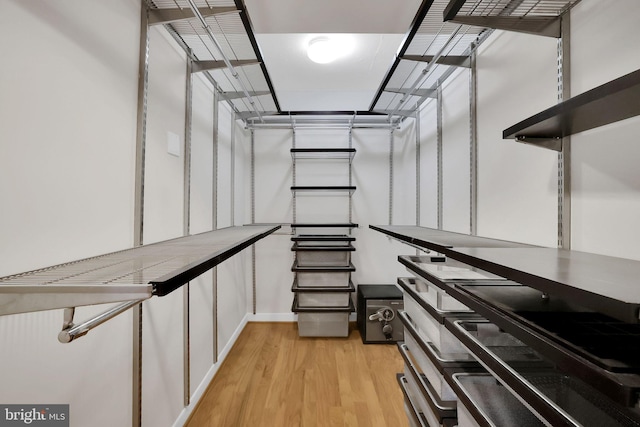 spacious closet featuring light hardwood / wood-style flooring