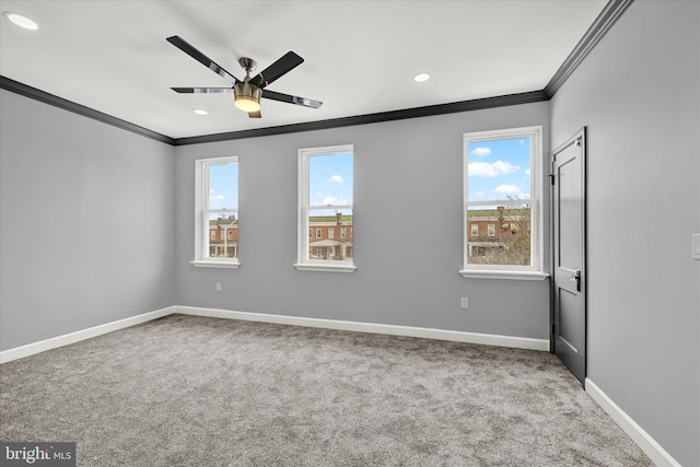 carpeted spare room with ceiling fan and crown molding