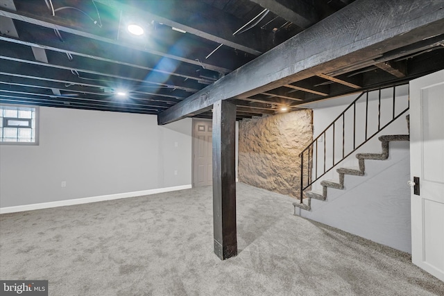 basement featuring carpet