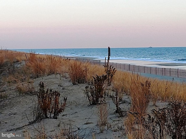 view of water feature with a beach view