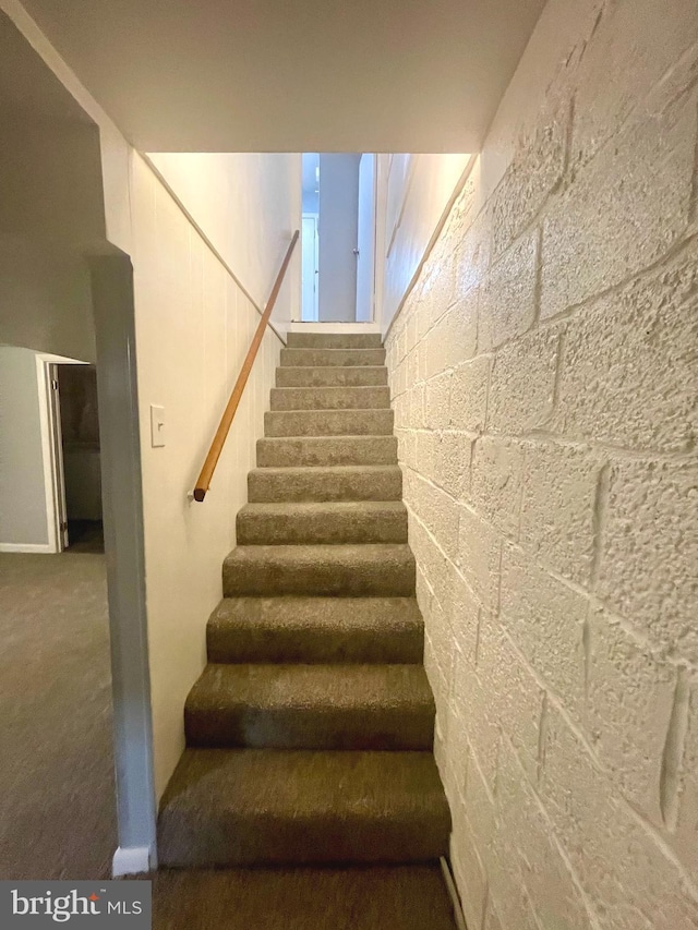 stairway featuring carpet flooring