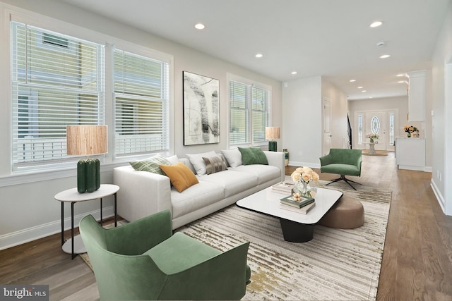 living room featuring hardwood / wood-style flooring and plenty of natural light