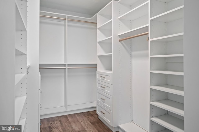 spacious closet featuring dark hardwood / wood-style floors