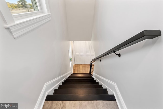 staircase featuring hardwood / wood-style floors