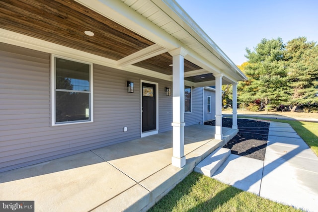 view of patio / terrace with a porch