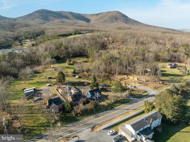 birds eye view of property featuring a mountain view