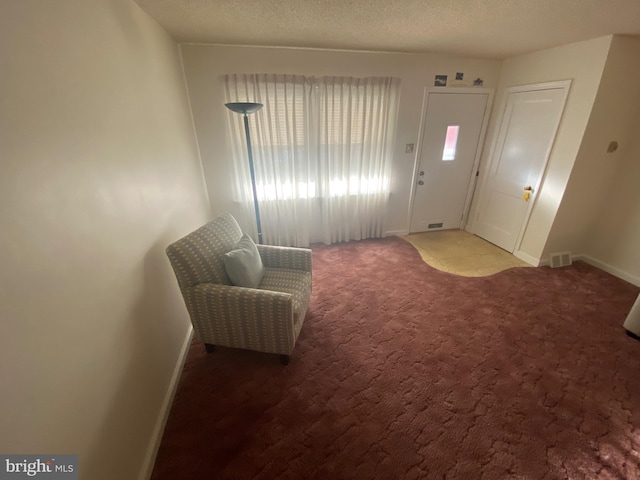 entrance foyer with carpet floors and a textured ceiling