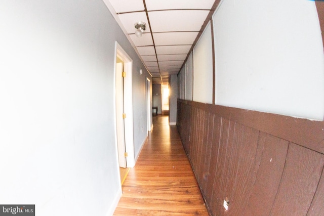 hallway featuring a drop ceiling and light wood-style flooring