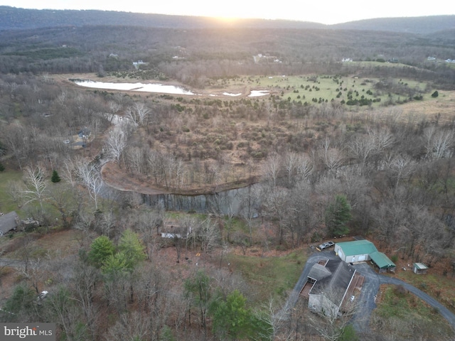 aerial view