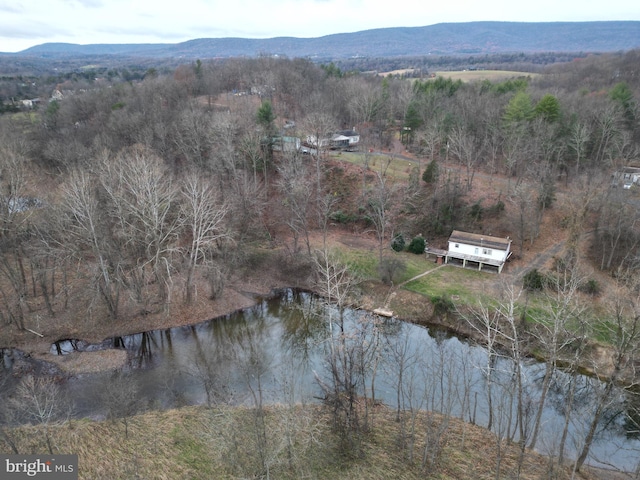 birds eye view of property with a water and mountain view