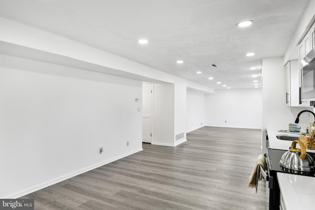 interior space featuring sink and hardwood / wood-style floors