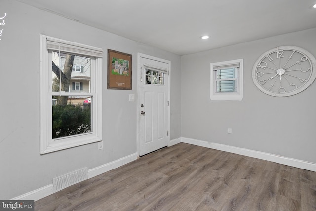 entryway featuring hardwood / wood-style flooring and a healthy amount of sunlight