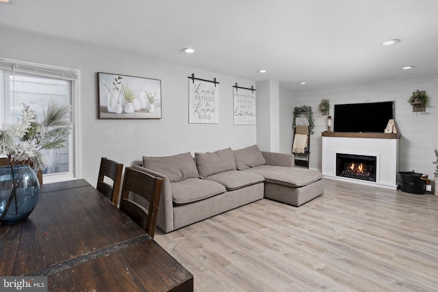 living room featuring light hardwood / wood-style floors