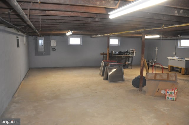 basement with electric panel