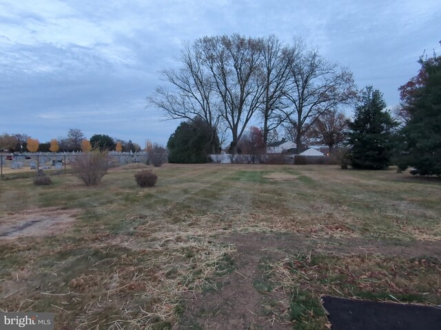 view of yard with a rural view