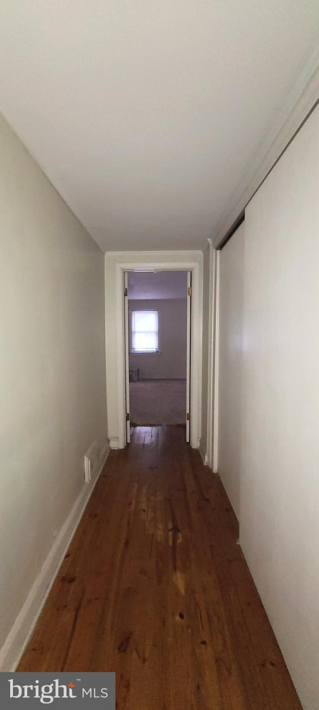 hall featuring dark wood-type flooring