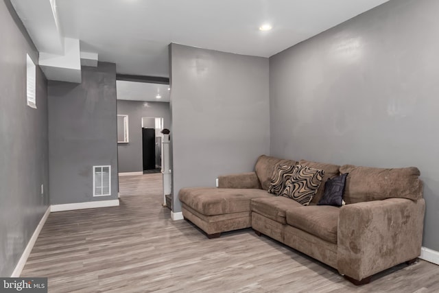 living room with light wood-type flooring