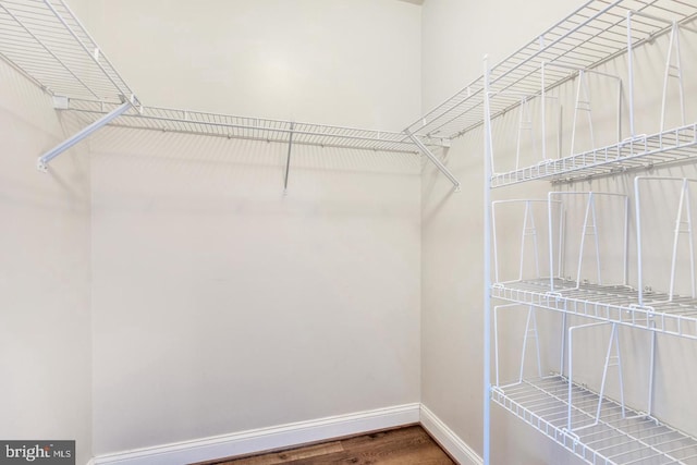 spacious closet with wood-type flooring