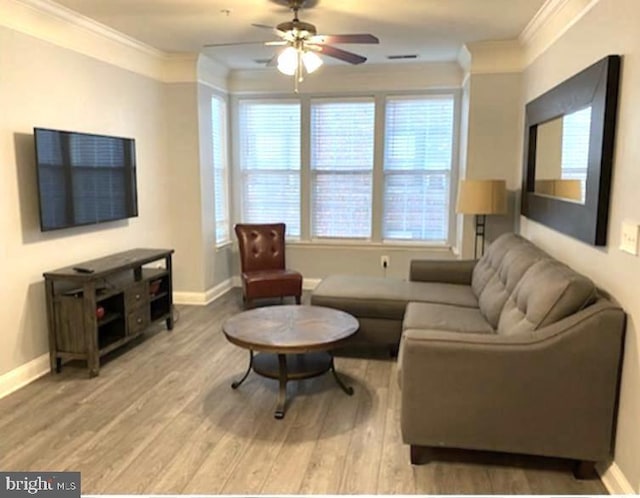 living room with ornamental molding, light hardwood / wood-style flooring, and a healthy amount of sunlight