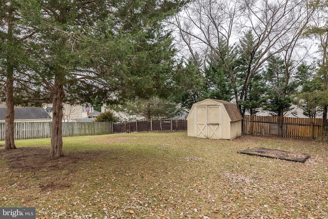 view of yard with a storage shed