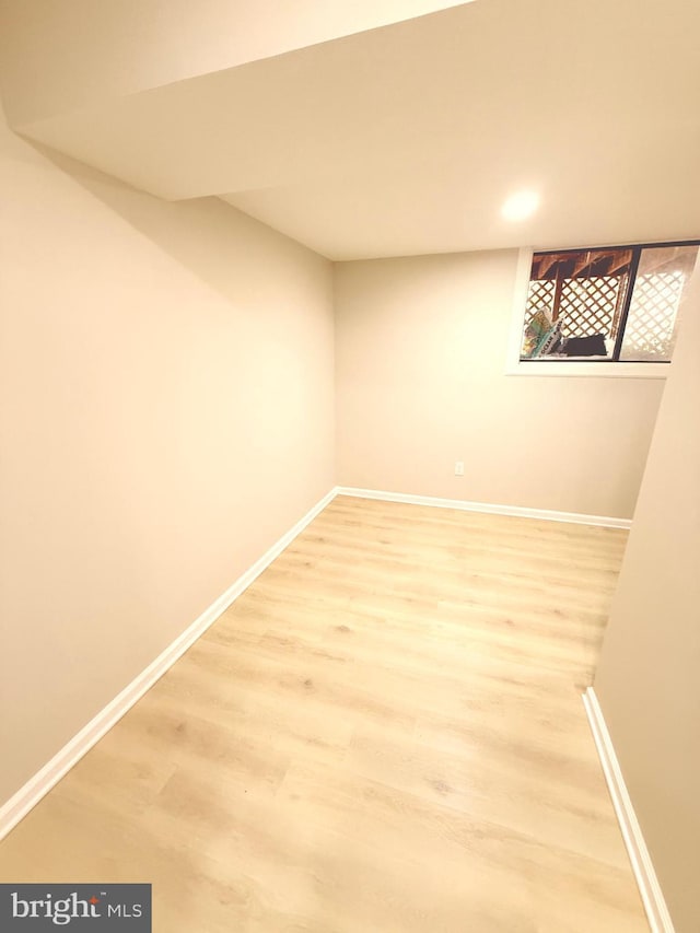 basement featuring wood-type flooring