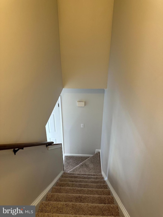 staircase featuring carpet flooring