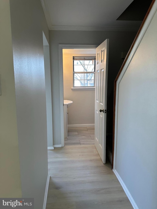 hallway with light hardwood / wood-style floors and crown molding